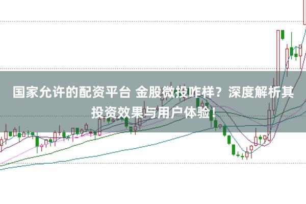 国家允许的配资平台 金股微投咋样？深度解析其投资效果与用户体验！