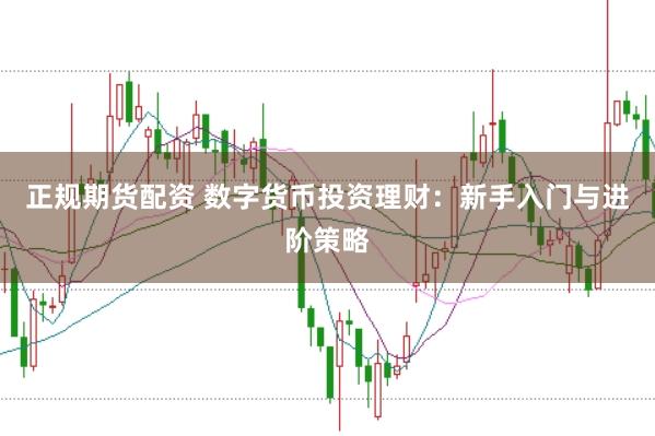 正规期货配资 数字货币投资理财：新手入门与进阶策略