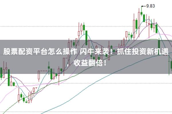 股票配资平台怎么操作 闪牛来袭！抓住投资新机遇，收益翻倍！