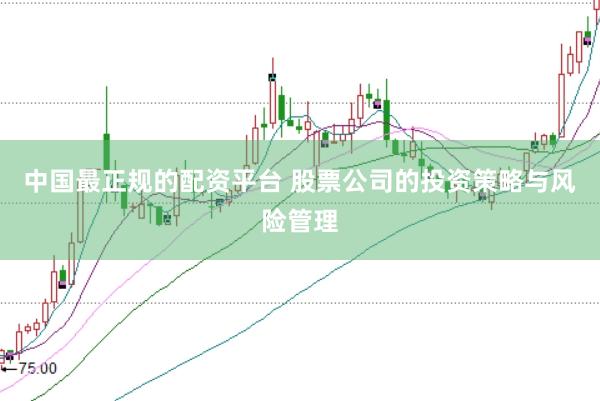 中国最正规的配资平台 股票公司的投资策略与风险管理