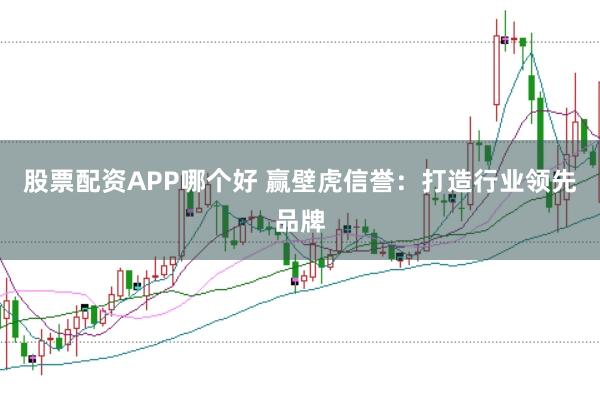 股票配资APP哪个好 赢壁虎信誉：打造行业领先品牌