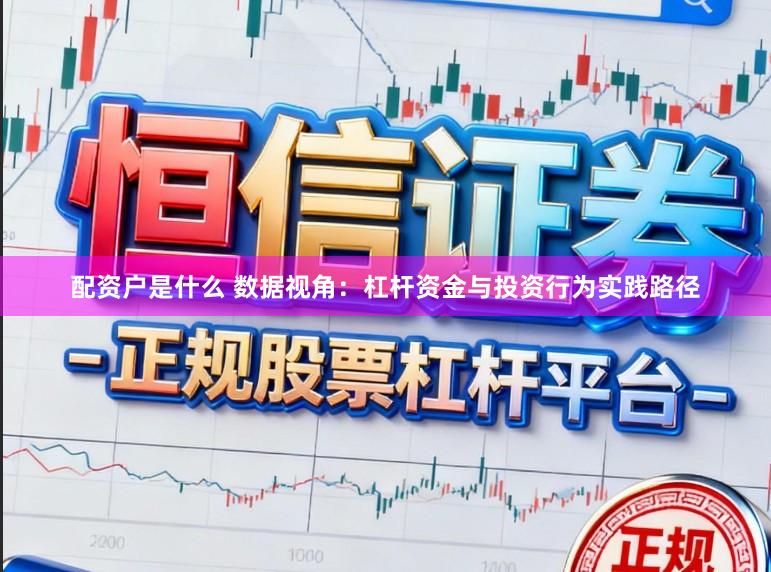 配资户是什么 数据视角：杠杆资金与投资行为实践路径